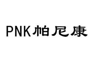 帕尼康 PNK